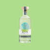 Port of Entry Gin 750ml bottle, a craft gin from End of Days Distillery, on a light green background