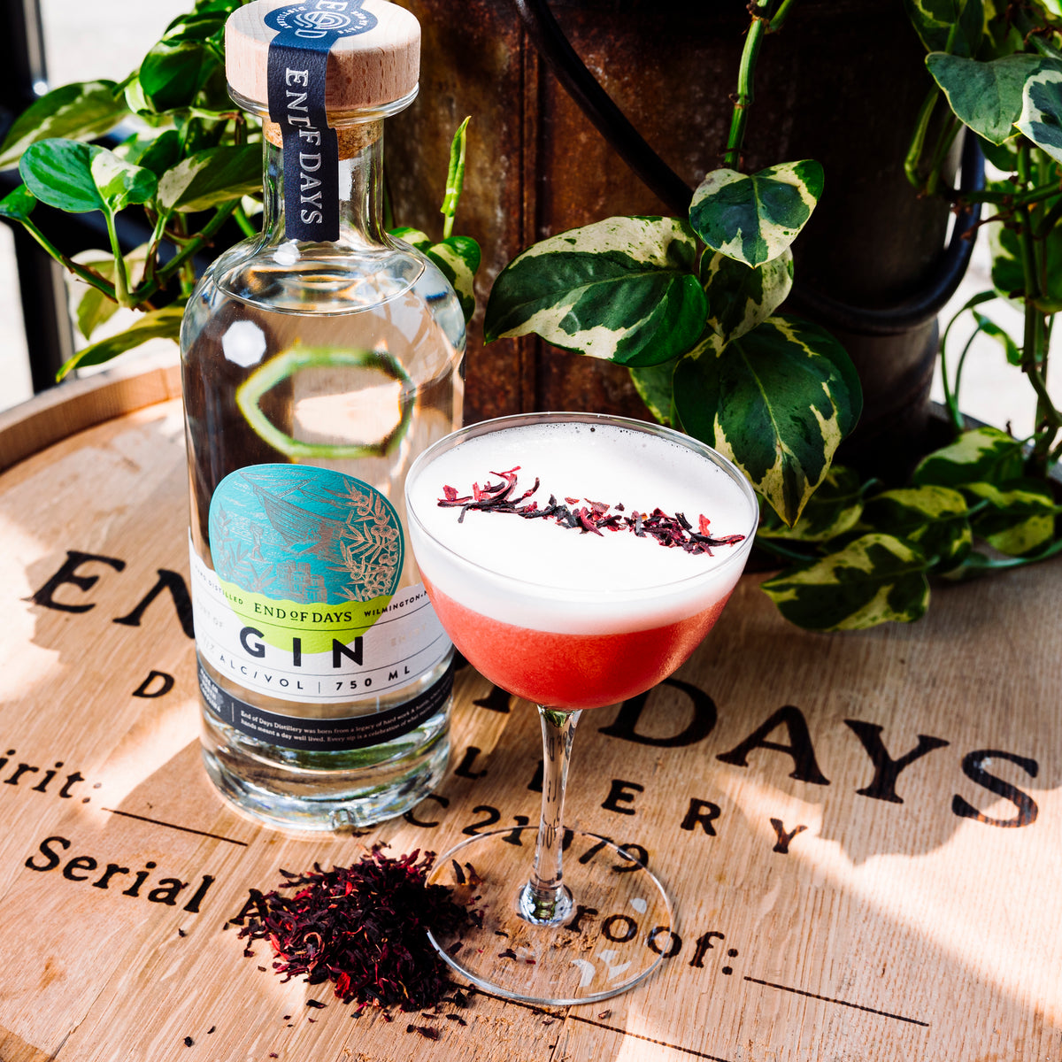 Hibiscus Sour