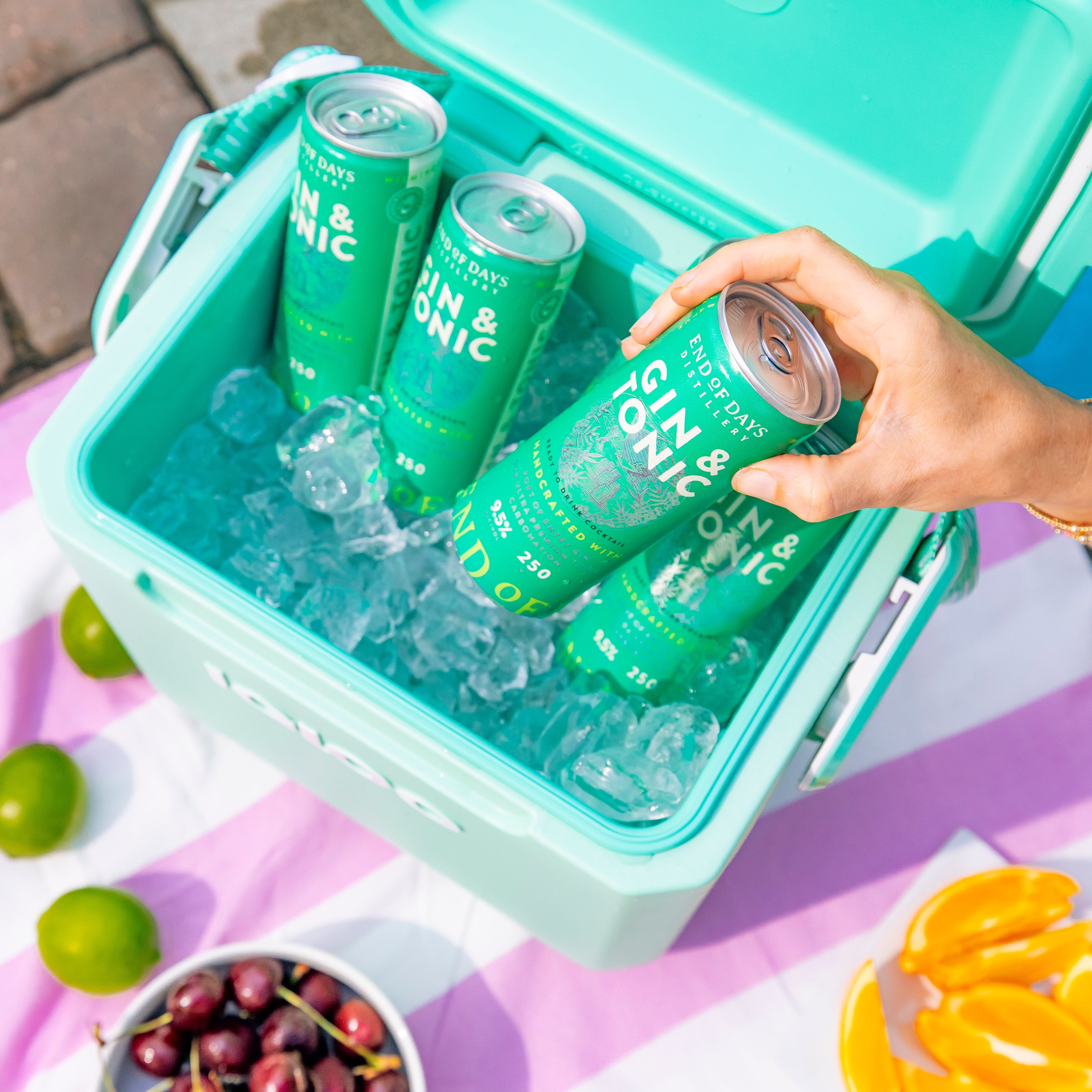 Gin & Tonic (4 Pack)