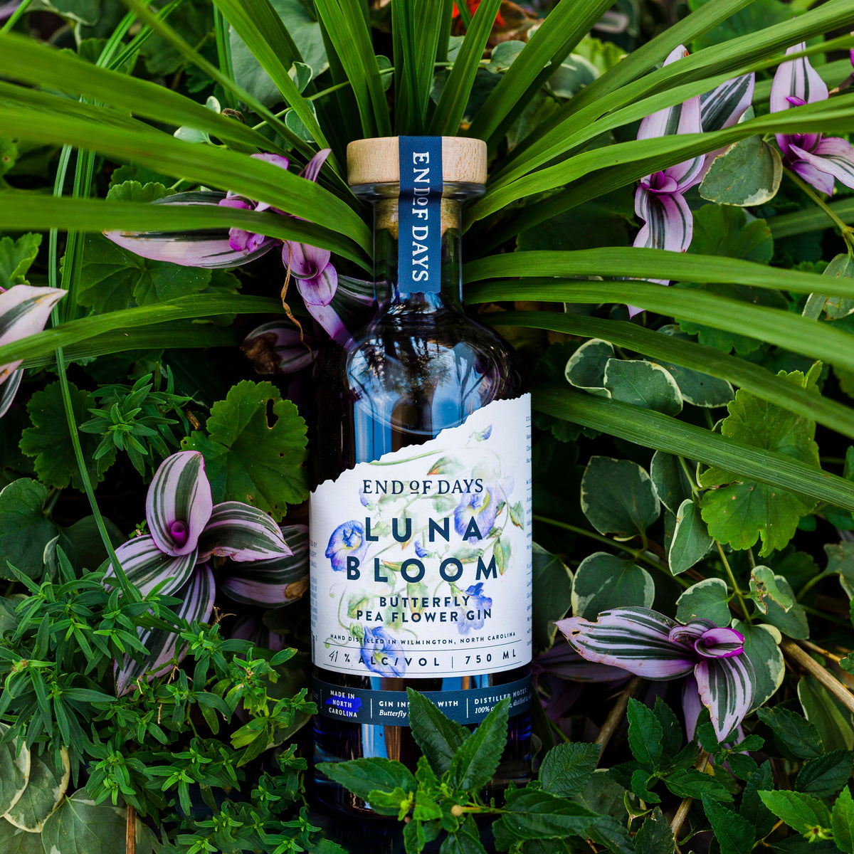 Luna Bloom Butterfly Pea Flower Gin bottle among green leaves and purple flowers