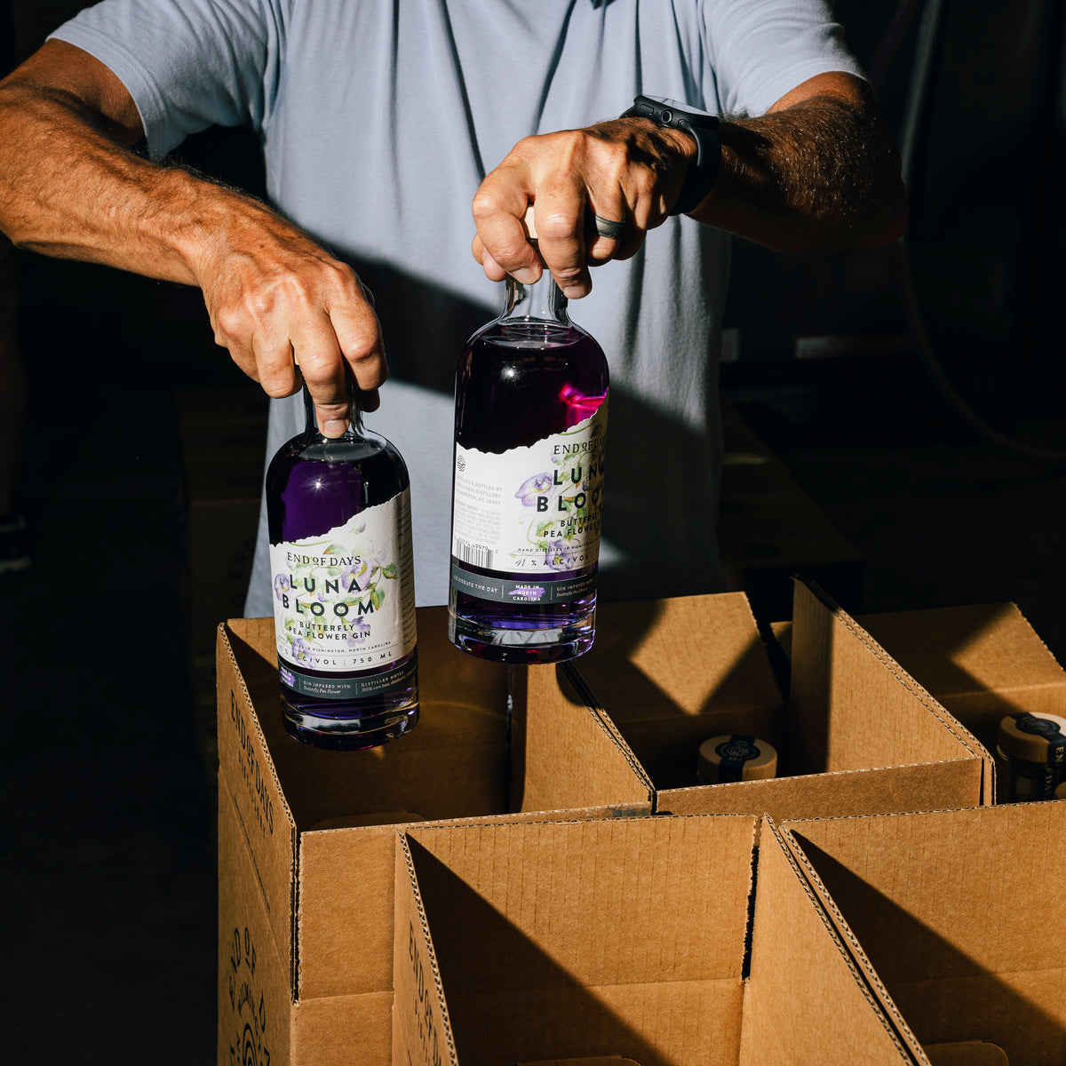 Hands packing bottles of Luna Bloom Butterfly Pea Flower Gin into a cardboard shipping case